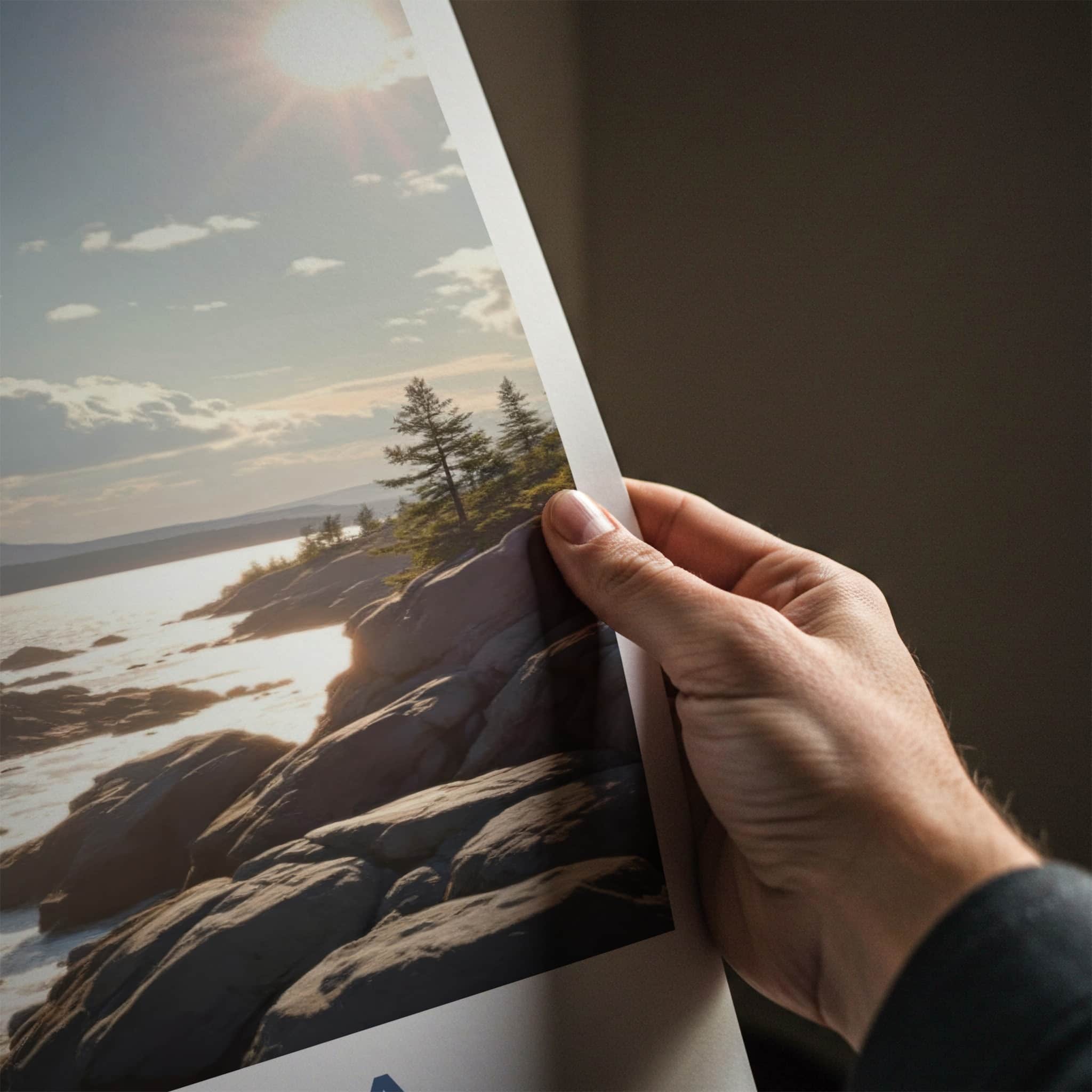 Acadia National Park Poster - Maine Travel Art - Flying Eagle Coastline Home Decor