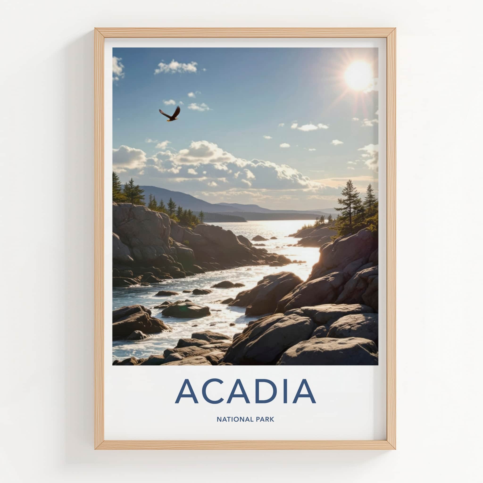 Acadia National Park Poster - Maine Travel Art - Flying Eagle Coastline Home Decor