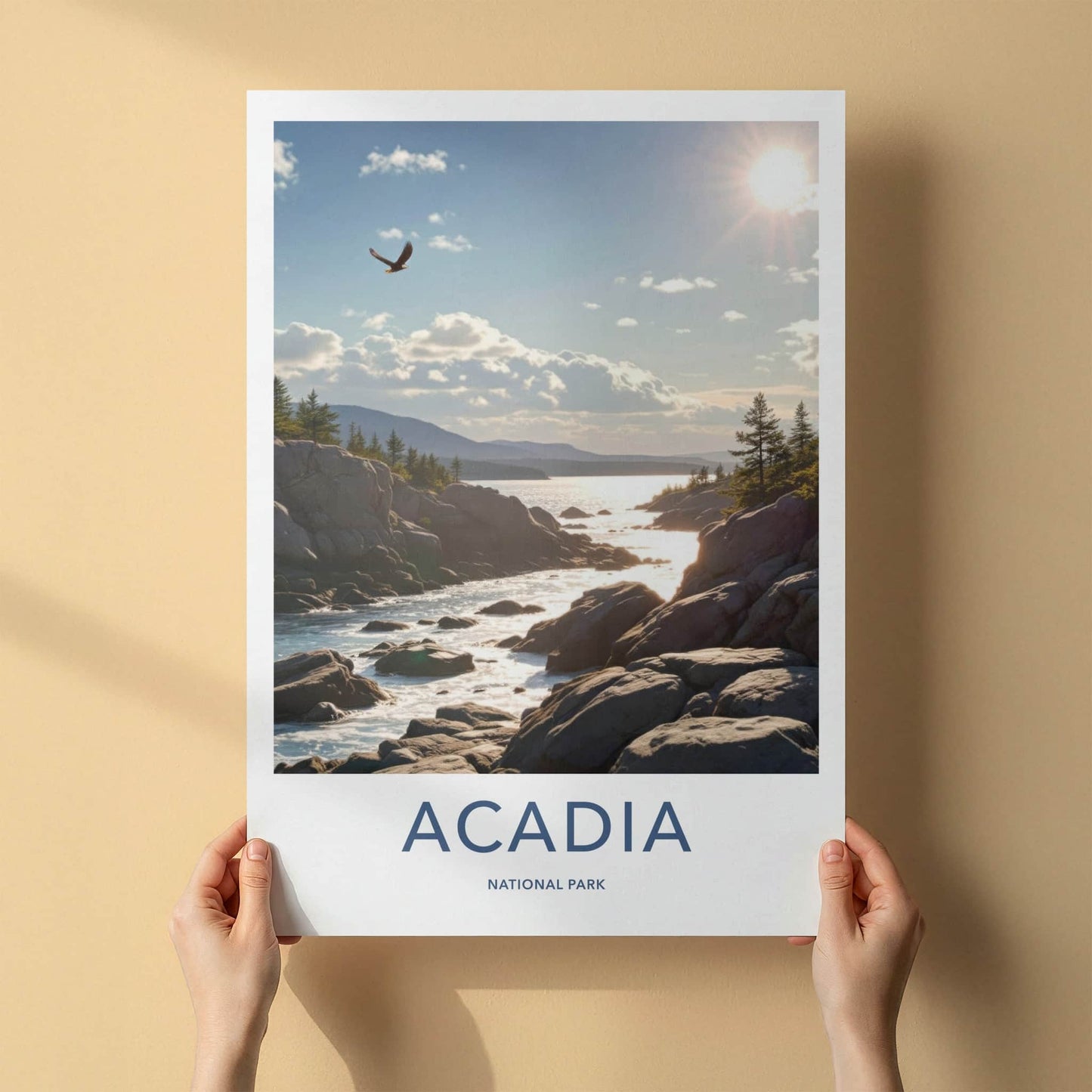 Acadia National Park Poster - Maine Travel Art - Flying Eagle Coastline Home Decor