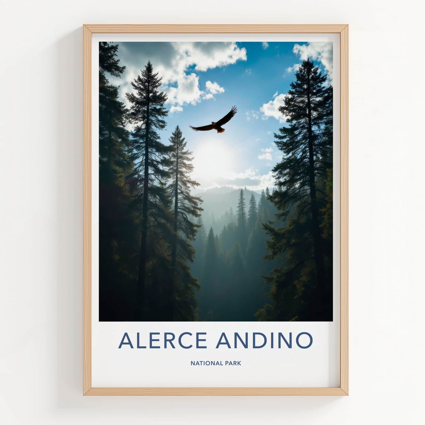 Alerce Andino National Park Poster - Chile Travel Print - Eagle Forest Misty Wall Decor