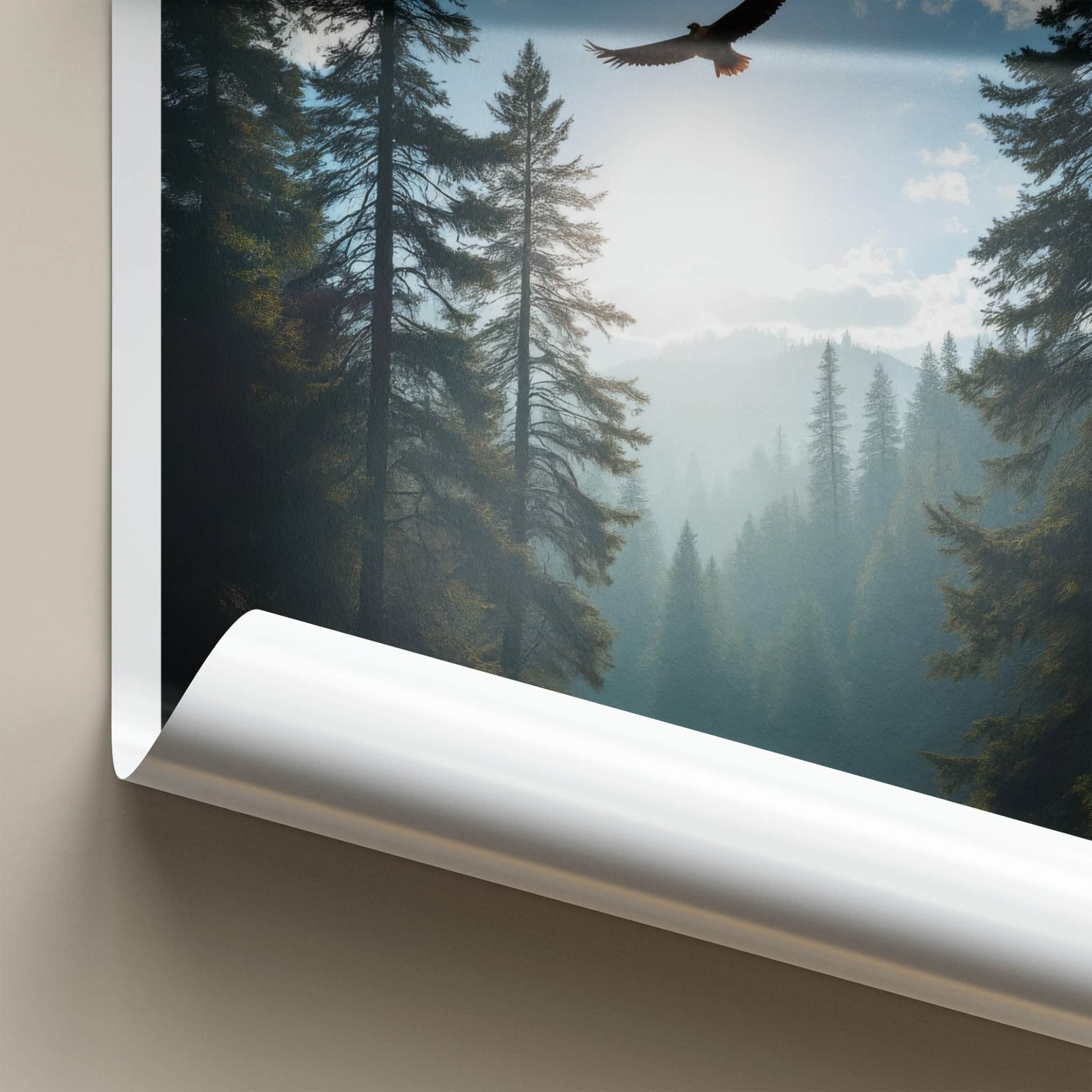 Alerce Andino National Park Poster - Chile Travel Print - Eagle Forest Misty Wall Decor