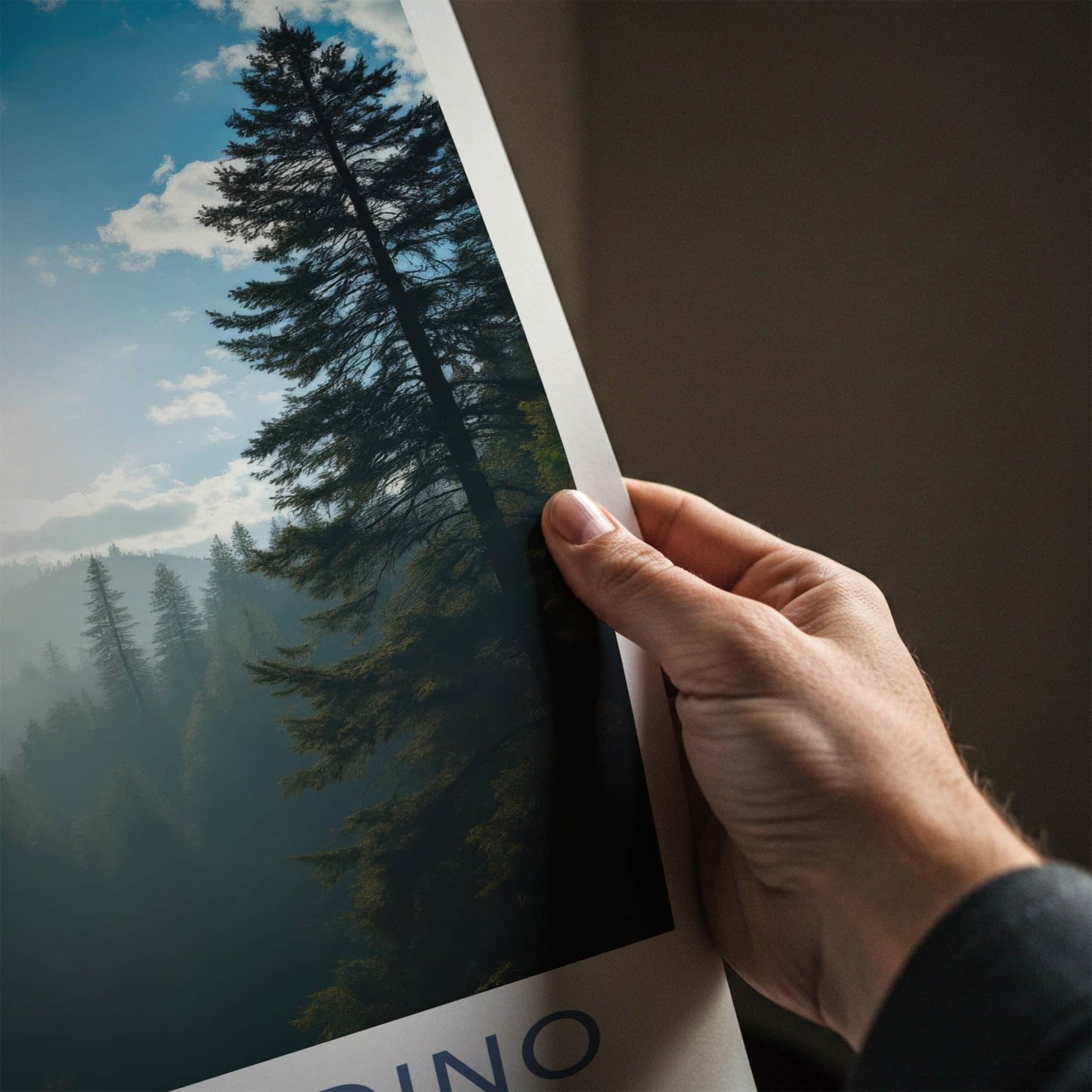 Alerce Andino National Park Poster - Chile Travel Print - Eagle Forest Misty Wall Decor