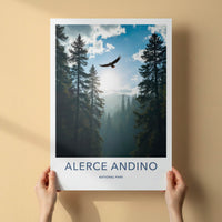 Alerce Andino National Park Poster - Chile Travel Print - Eagle Forest Misty Wall Decor