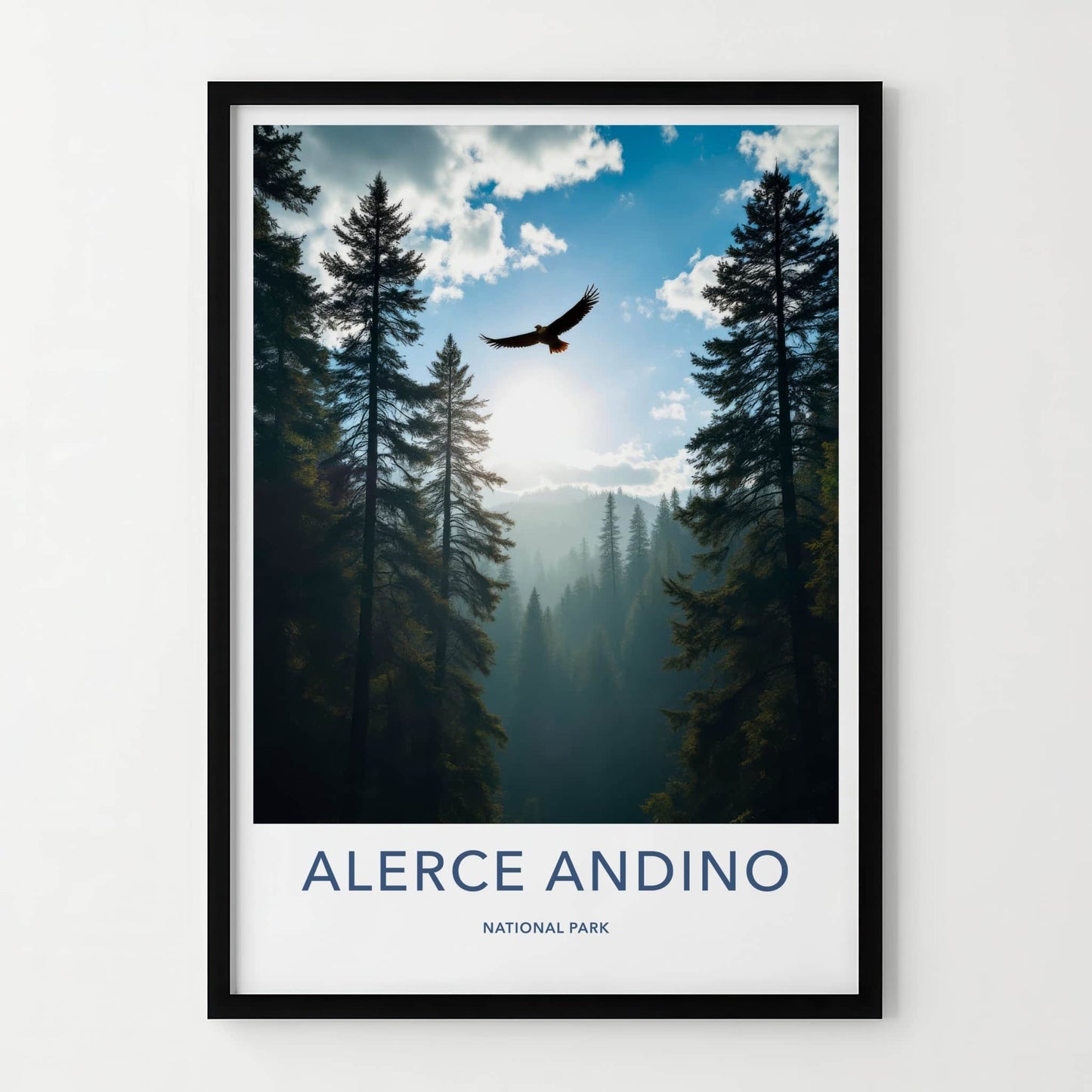 Alerce Andino National Park Poster - Chile Travel Print - Eagle Forest Misty Wall Decor