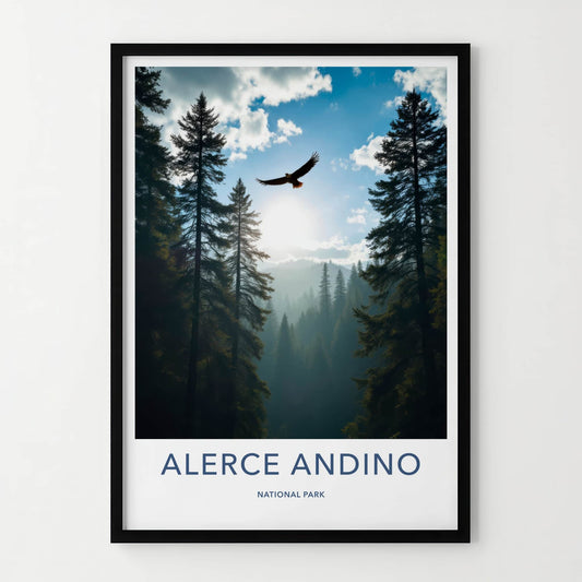 Alerce Andino National Park Poster - Chile Travel Print - Eagle Forest Misty Wall Decor