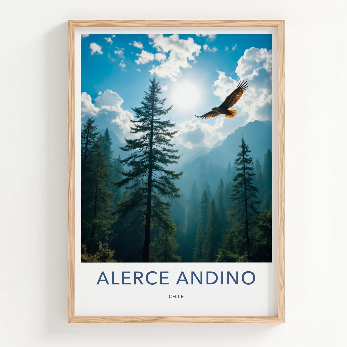 Alerce Andino Poster - Chile Travel Art - Soaring Eagle Sky Home Decor