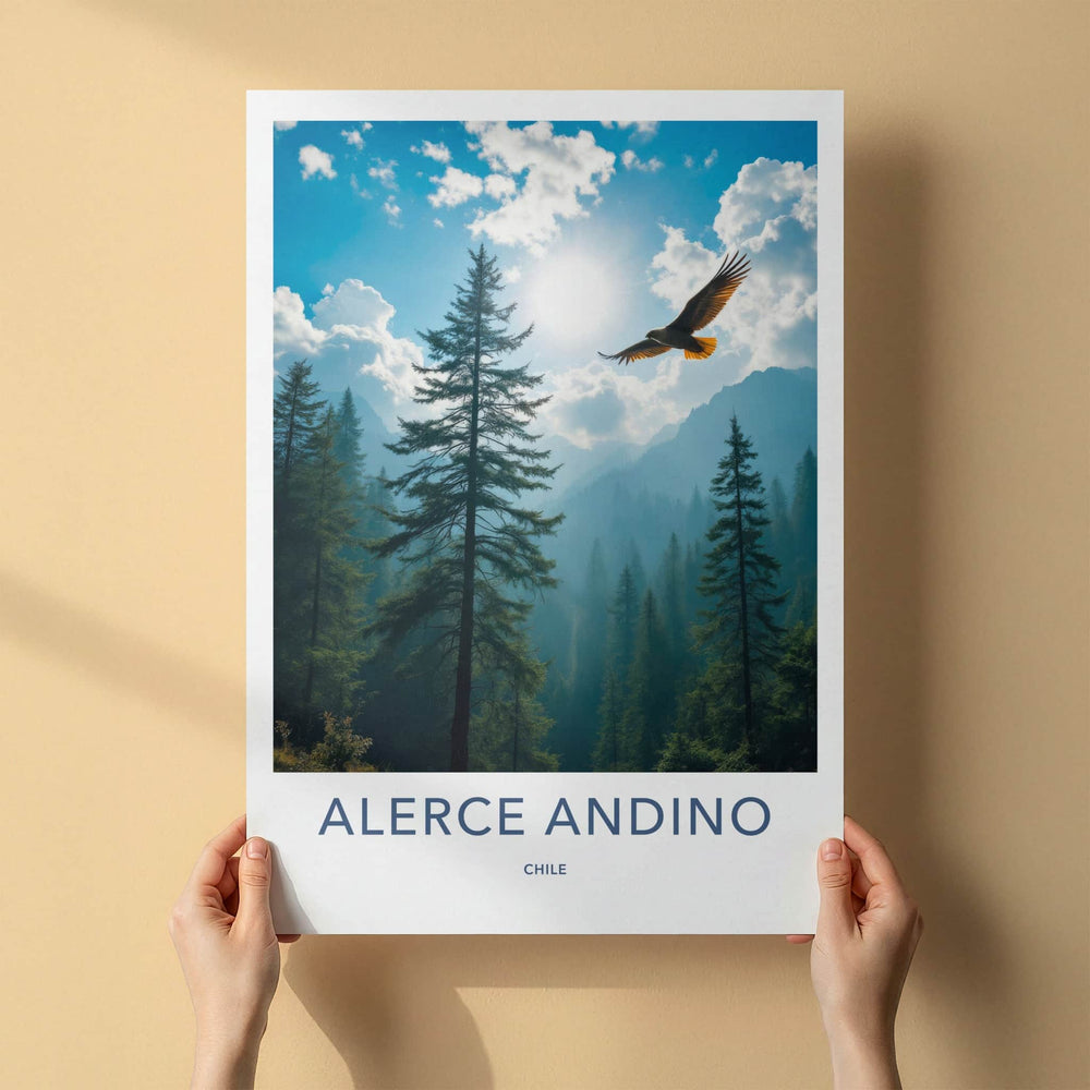 Alerce Andino Poster - Chile Travel Art - Soaring Eagle Sky Home Decor