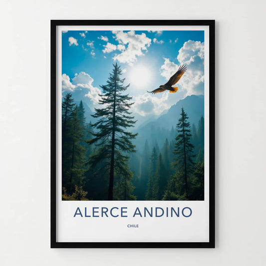 Alerce Andino Poster - Chile Travel Art - Soaring Eagle Sky Home Decor
