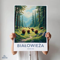 Białowieża