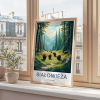 Białowieża