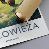 Białowieża