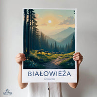 Białowieża