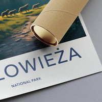 Białowieża