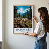 Białowieża