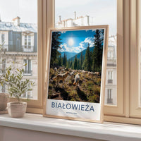 Białowieża