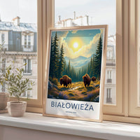 Białowieża Forest