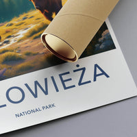 Białowieża Forest