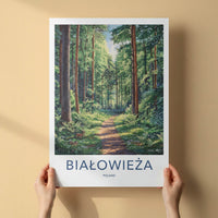 Bialowieza Poster - Poland Travel Art - Sunlit Forest Deer Home Decor
