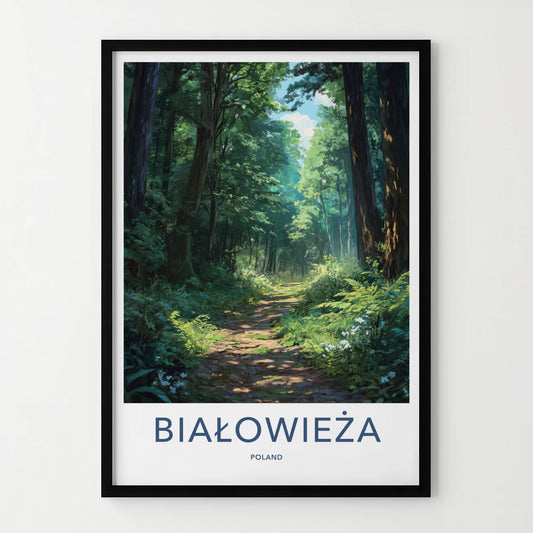 Bialowieza Poster - Poland Travel Art - Sunlit Forest Path Home Decor