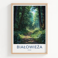 Bialowieza Poster - Poland Travel Art - Sunlit Forest Path Home Decor