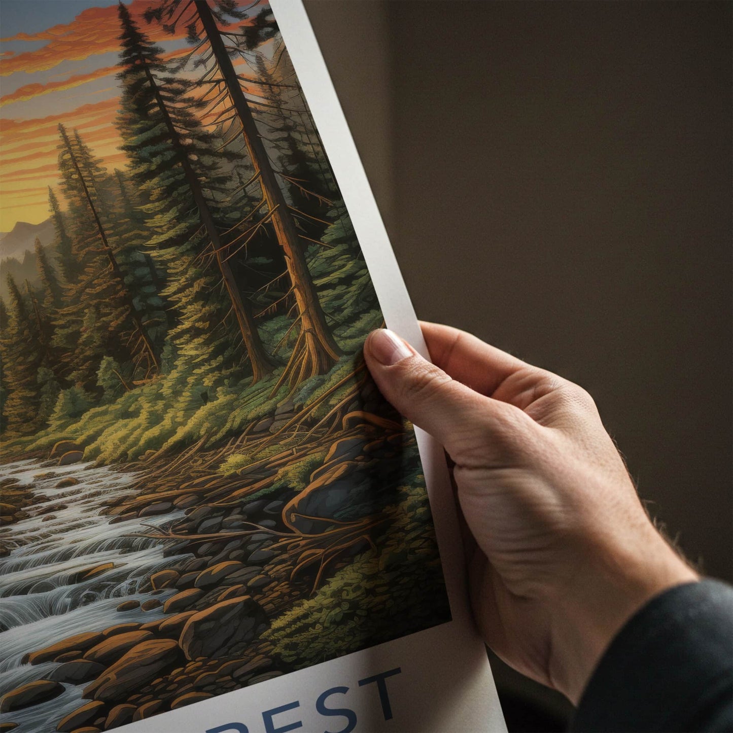 Black Forest Poster - Germany Travel Art - Forest River Sunset Home Decor