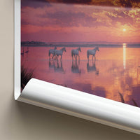 Camargue Poster - France Scenic Art - White horses sunset Wall Decor