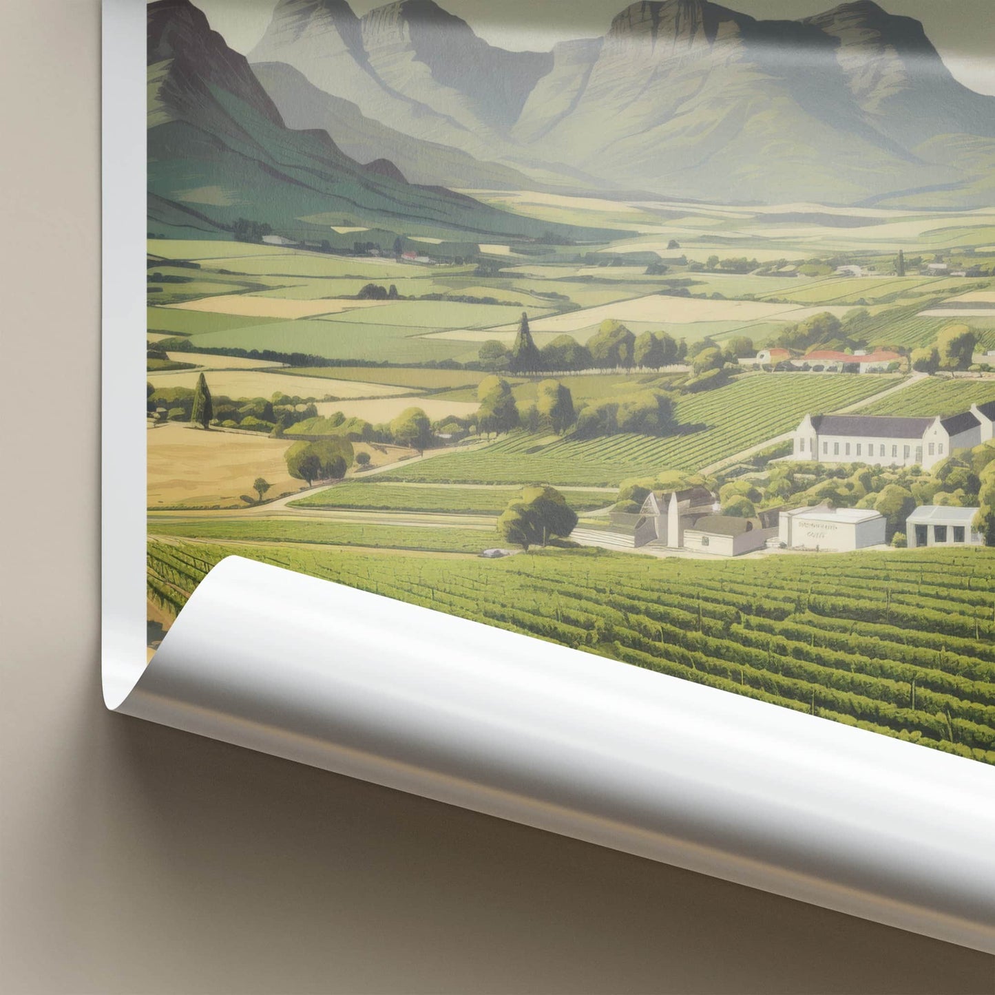 Cape Winelands Poster - South Africa Fine Art - Lush Vineyard Scenery Home Art