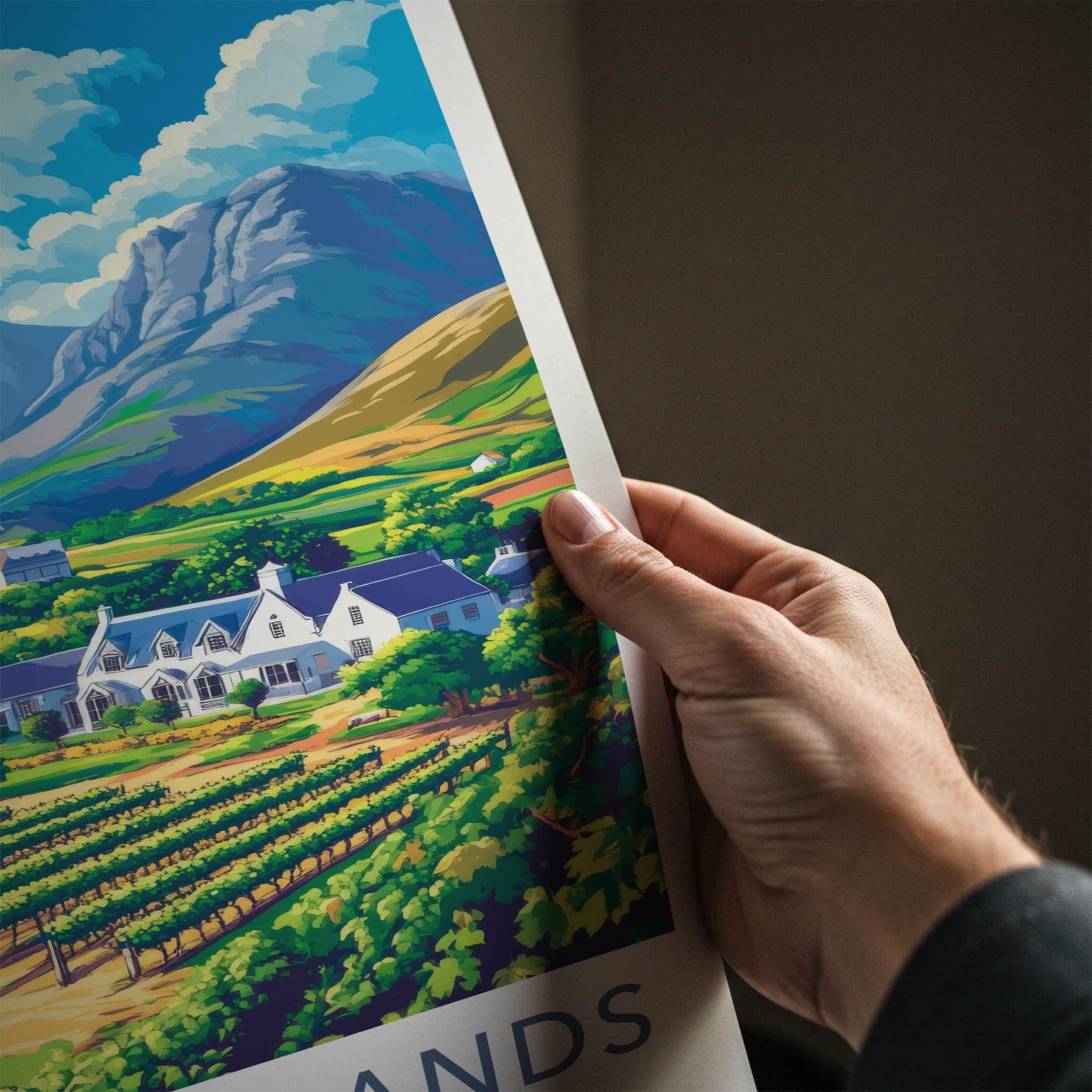 Cape Winelands Poster - South Africa Fine Art - Vibrant Vineyard Scene Gift