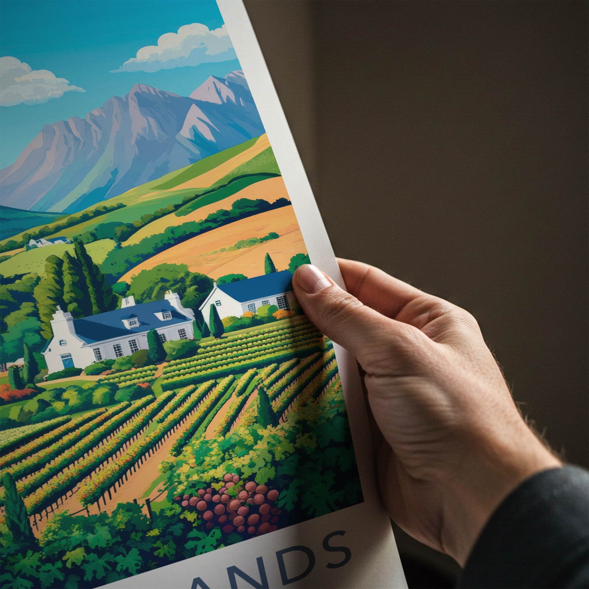 Cape Winelands Poster - South Africa Travel Art - Lush Vineyard Valley Home Decor