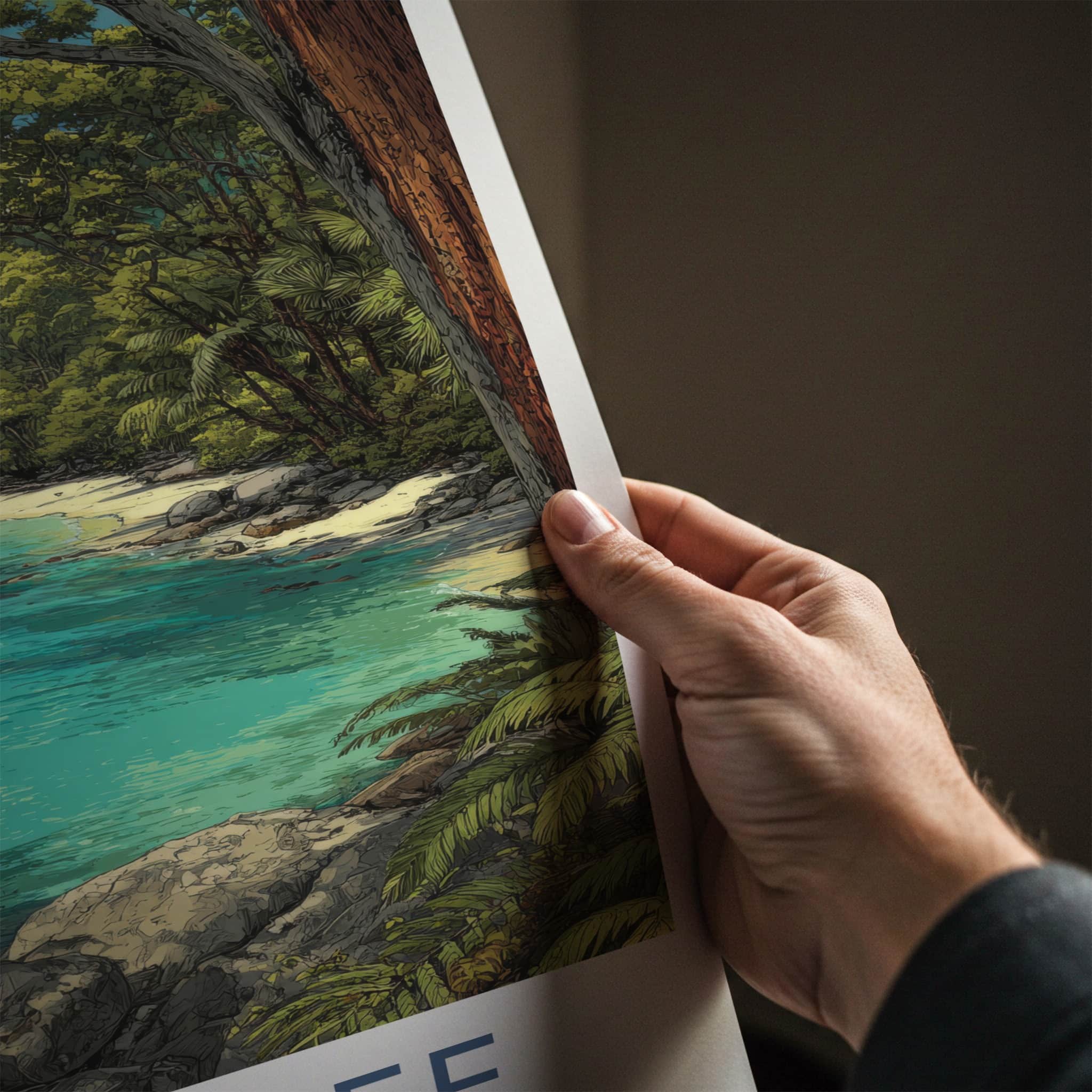 Daintree Poster - Australia Travel Art - Lush Coastal Rainforest Home Decor