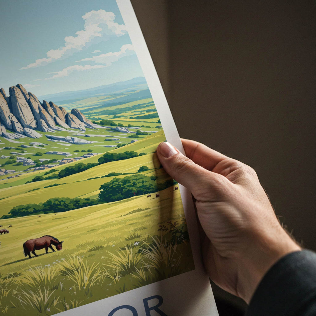 DARTMOOR Poster - England Travel Art - Towering Rock Pasture Home Decor