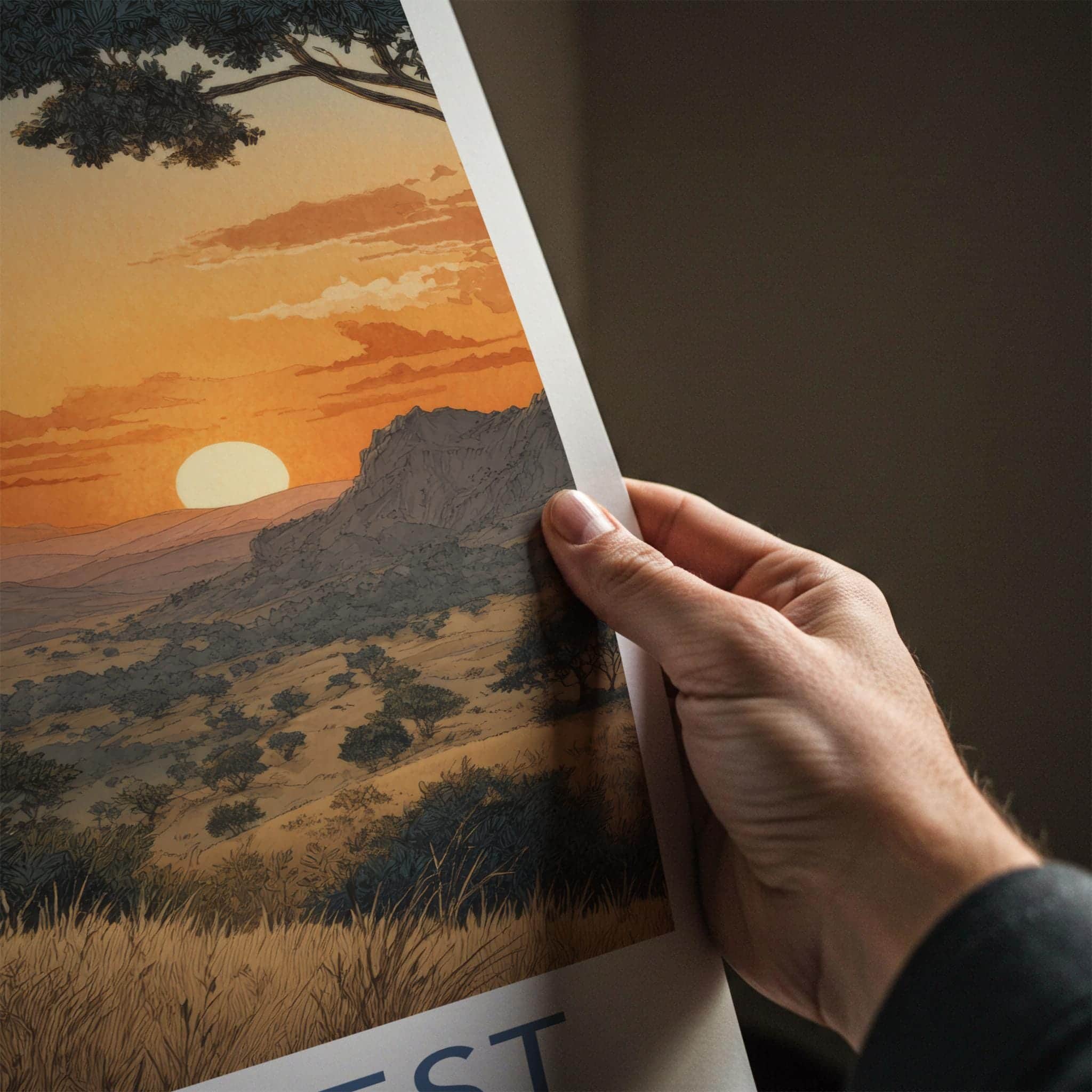 Gir Forest Poster - India Travel Art - Gujarat Lion Resting Sunset Home Decor