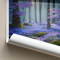 Hallerbos Poster - Belgium Scenic Art - Sunlit Purple Forest Wall Decor