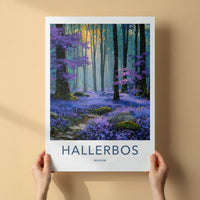 Hallerbos Poster - Belgium Scenic Art - Sunlit Purple Forest Wall Decor