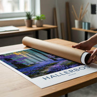 Hallerbos Poster - Belgium Scenic Art - Sunlit Purple Forest Wall Decor