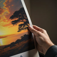 Kaipara Poster - New Zealand Travel Art - Golden Bay Sunset Wall Decor