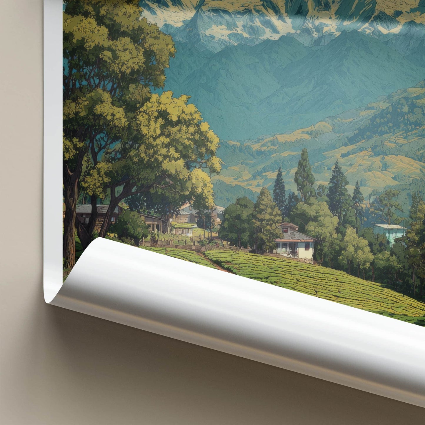 Kanchenjunga Poster - India Sikkim Tea Garden Views Art Print