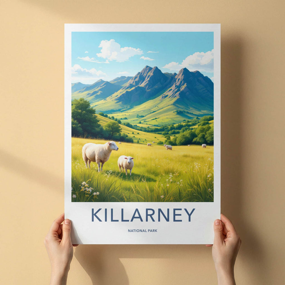 Killarney National Park Poster - Ireland Travel Art - Lush Valley Sheep Home Decor