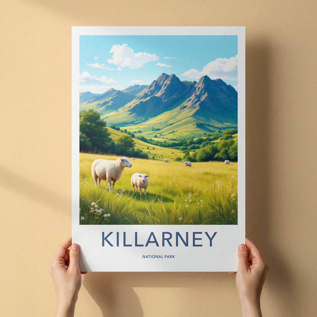Killarney National Park Poster - Ireland Travel Art - Lush Valley Sheep Home Decor