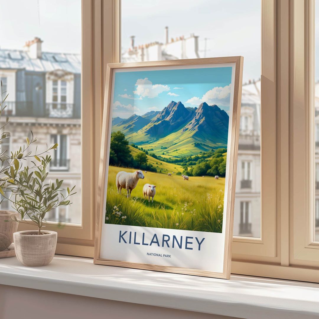Killarney National Park Poster - Ireland Travel Art - Lush Valley Sheep Home Decor