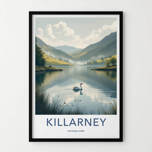 Killarney National Park Poster - Ireland Travel Art - White Swan Lake Home Decor