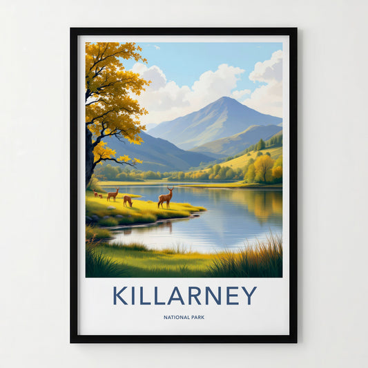 Killarney National Park Poster - Ireland Wall Art - Autumn Lakeside Deer Gift