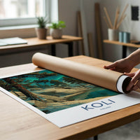 Koli Poster - Finland Framed Print - Snowy Lake Aurora Gallery Art