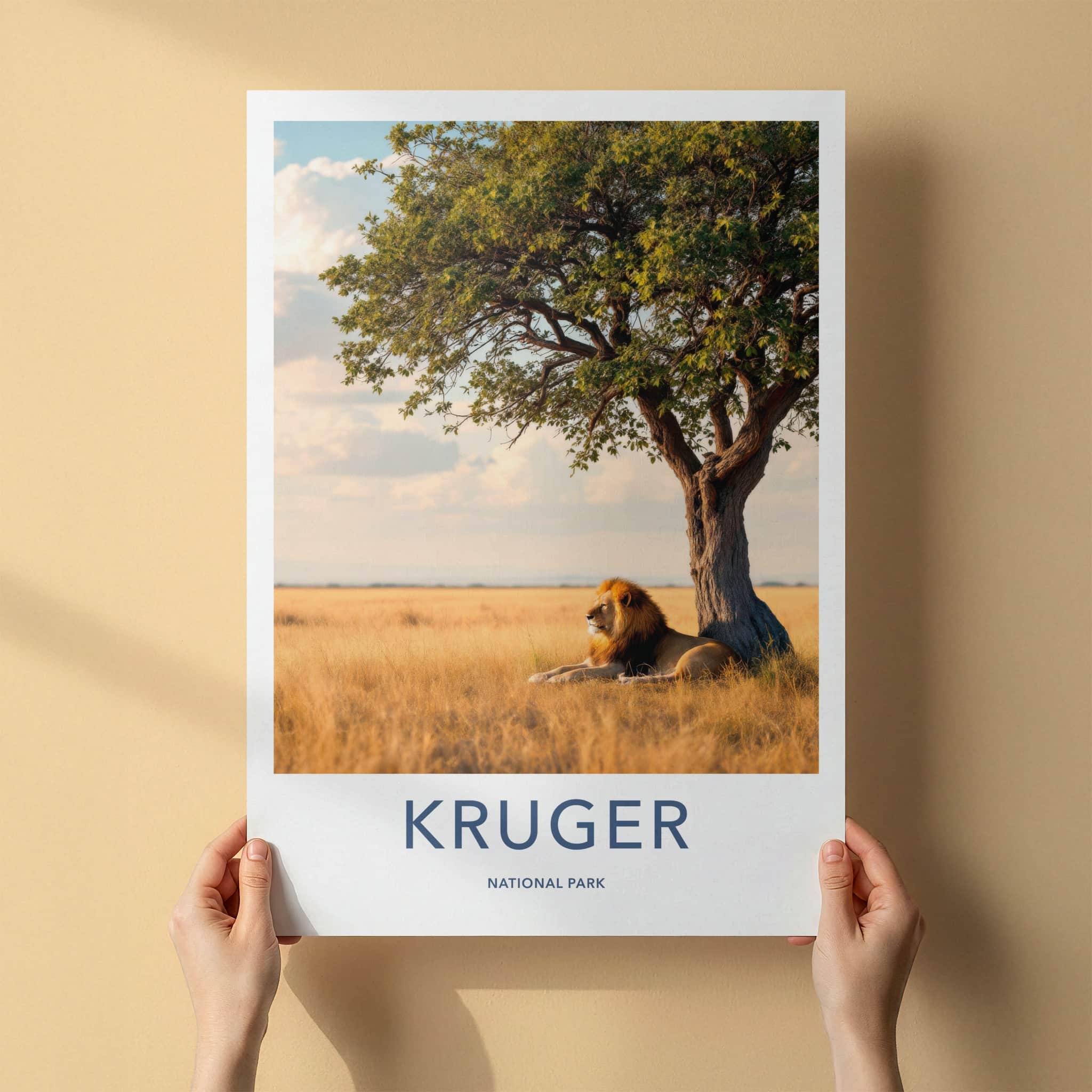 Kruger National Park Poster - South Africa Art Print - Lying Lion Savanna Wall Decor