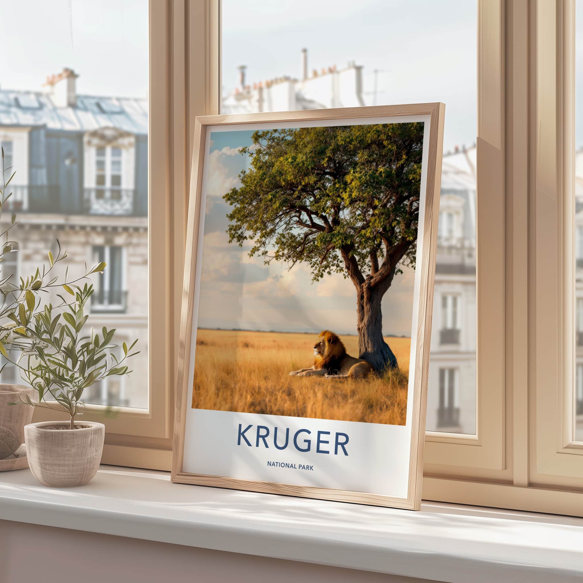 Kruger National Park Poster - South Africa Art Print - Lying Lion Savanna Wall Decor