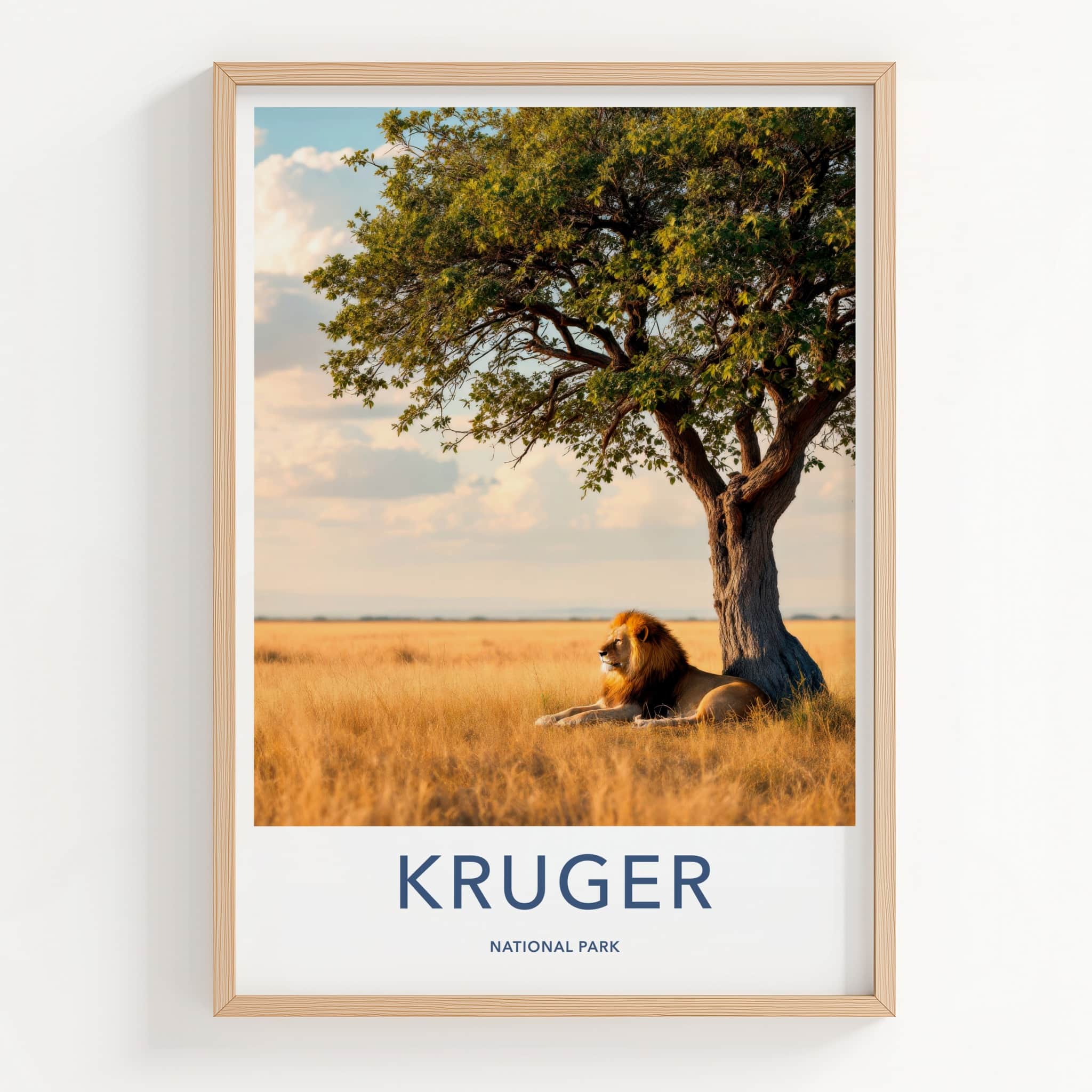 Kruger National Park Poster - South Africa Art Print - Lying Lion Savanna Wall Decor