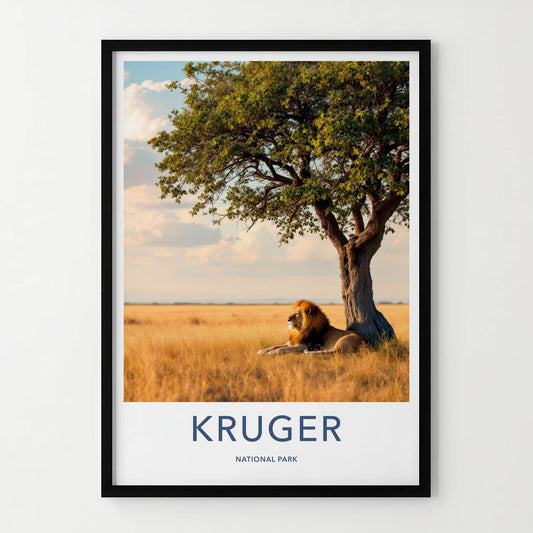 Kruger National Park Poster - South Africa Art Print - Lying Lion Savanna Wall Decor