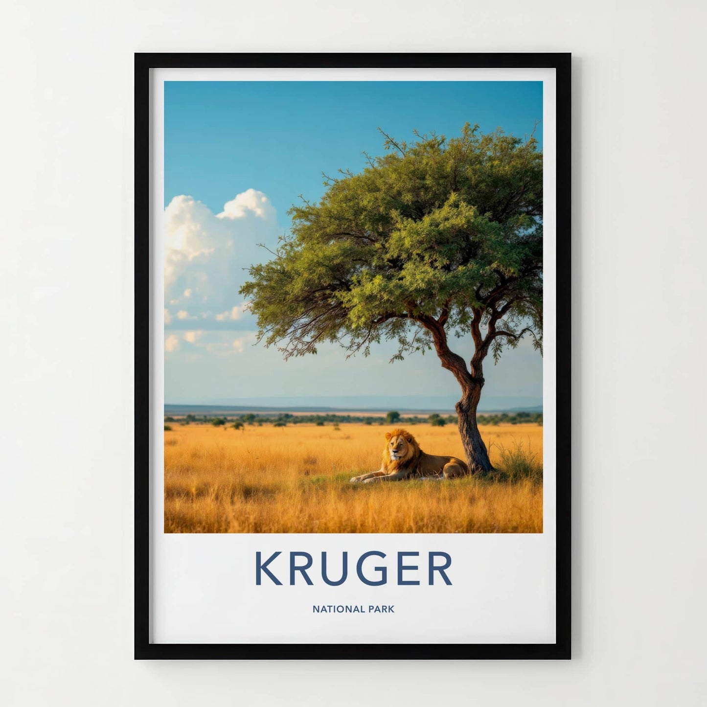 Kruger National Park Poster - South Africa Travel Art - Lion Resting Shade Home Decor