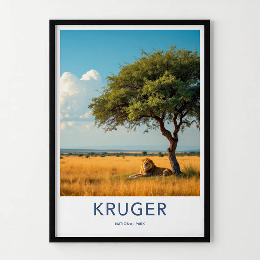 Kruger National Park Poster - South Africa Travel Art - Lion Resting Shade Home Decor