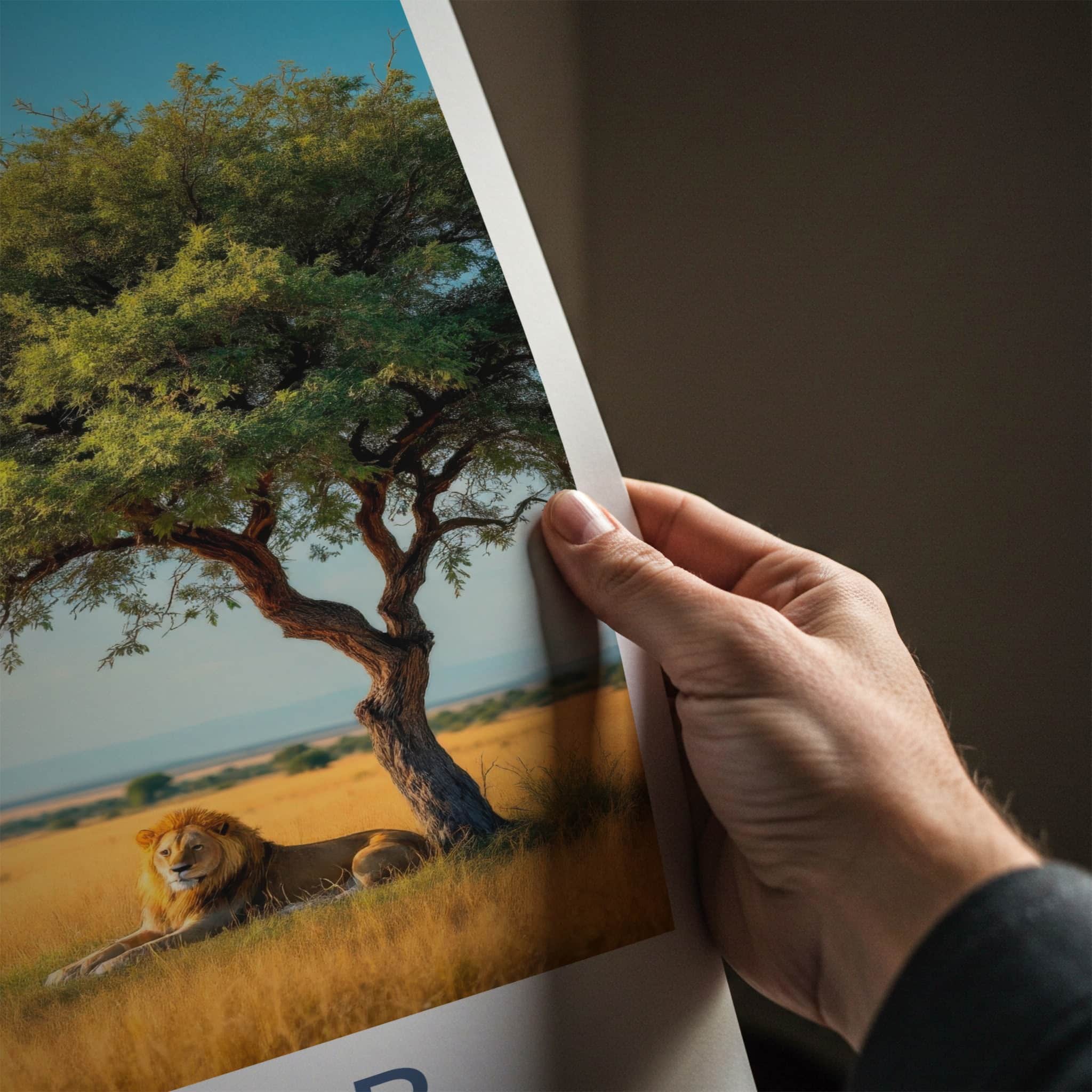 Kruger National Park Poster - South Africa Travel Art - Lion Resting Shade Home Decor